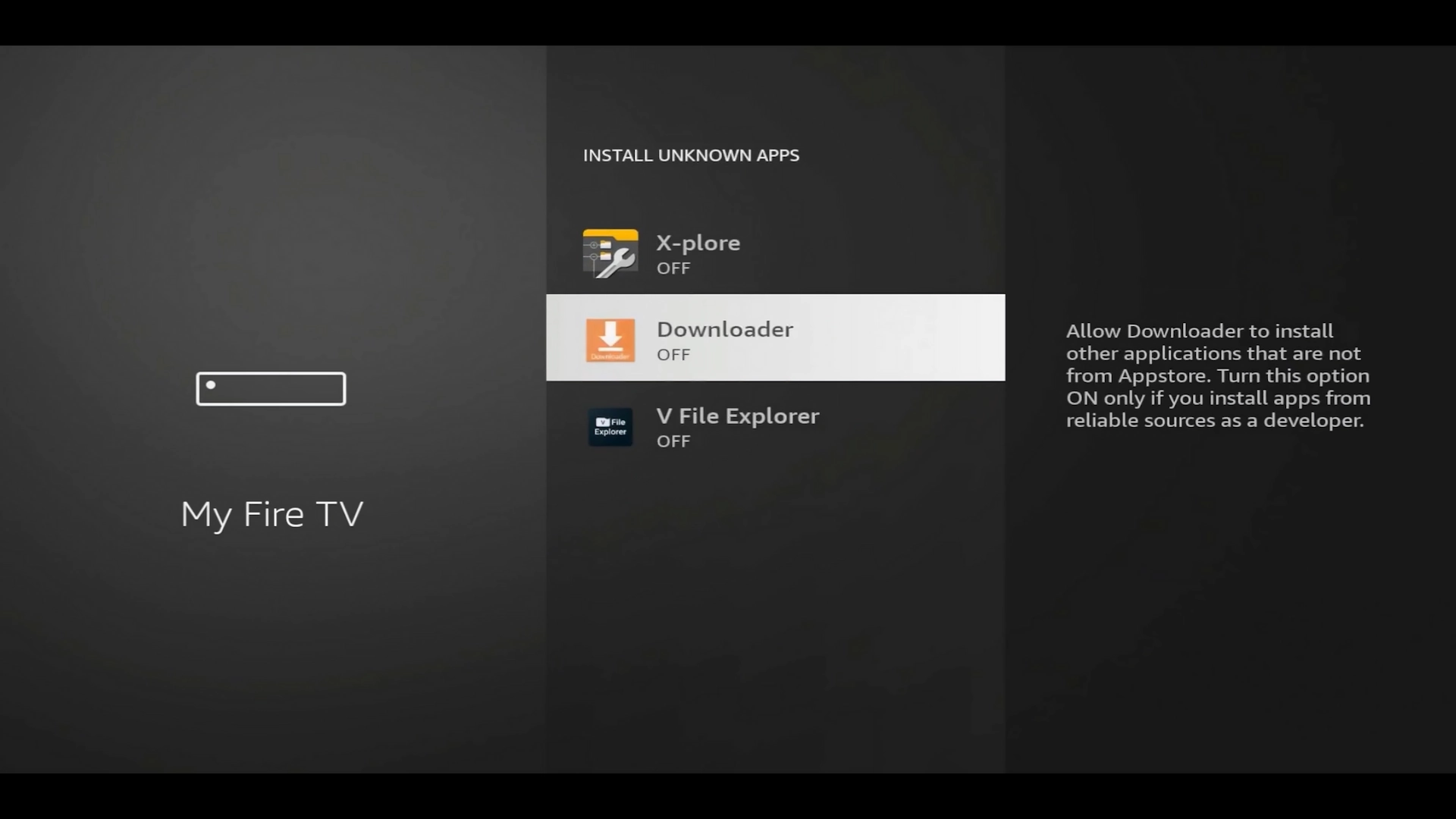 Downloader listed under Developer Options before enabling